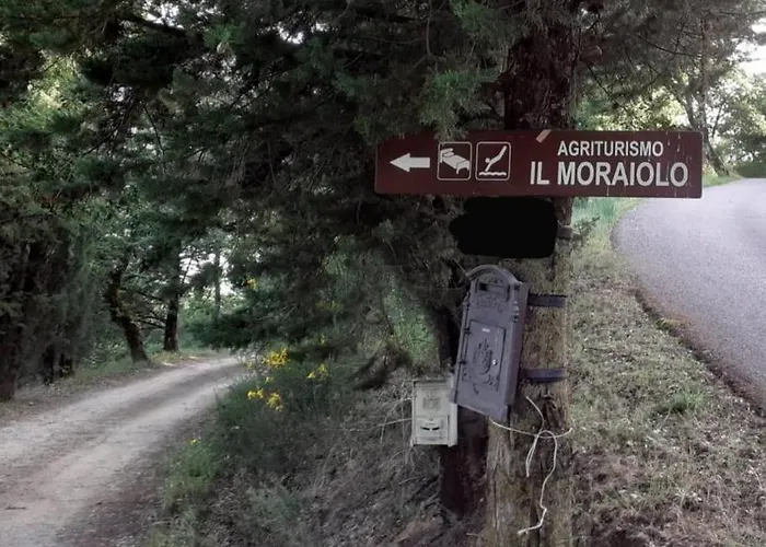 Il Moraiolo - Idromassaggio & Sauna Con Vista! Ferienhaus Loro Ciuffenna